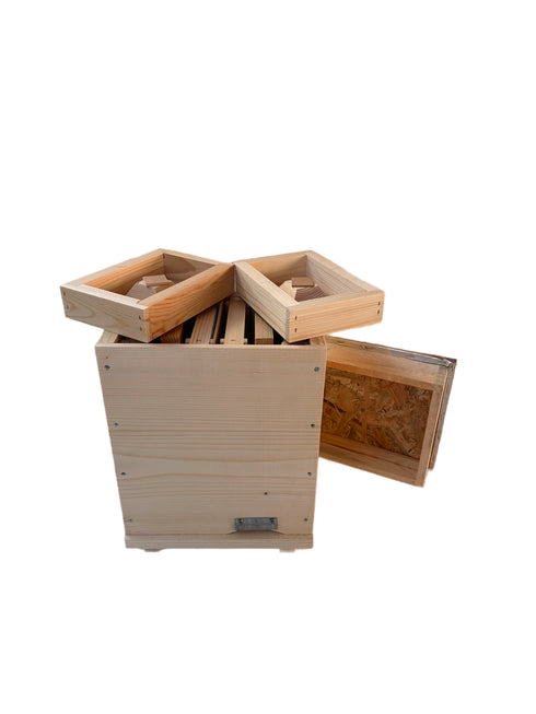 1032 RUCHETTE DUO NUC ,d’ELEVAGE AVEC 2 CADRES ACCORDEON CORPS