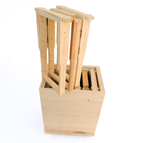 1032 RUCHETTE DUO NUC ,d’ELEVAGE AVEC 2 CADRES ACCORDEON CORPS