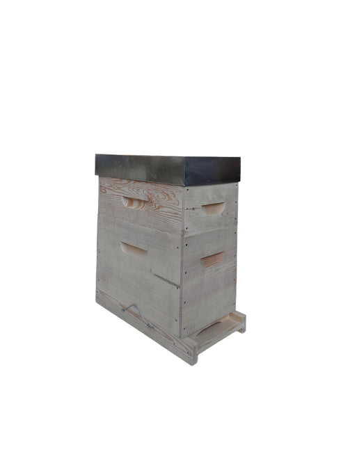 1071 BEEHIVE DADANT BLAT 6 FRAMES