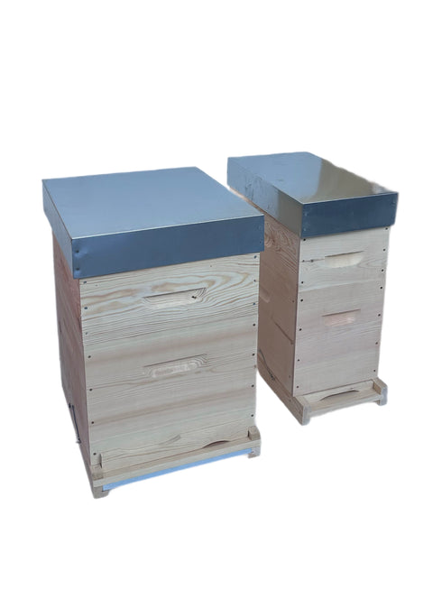 1072 DADANT HIVE 10 FRAMES, SET