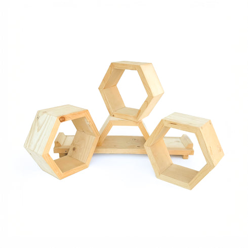 1063 PRESENTOIR EN BOIS MASSIF 3 AVEOLES.